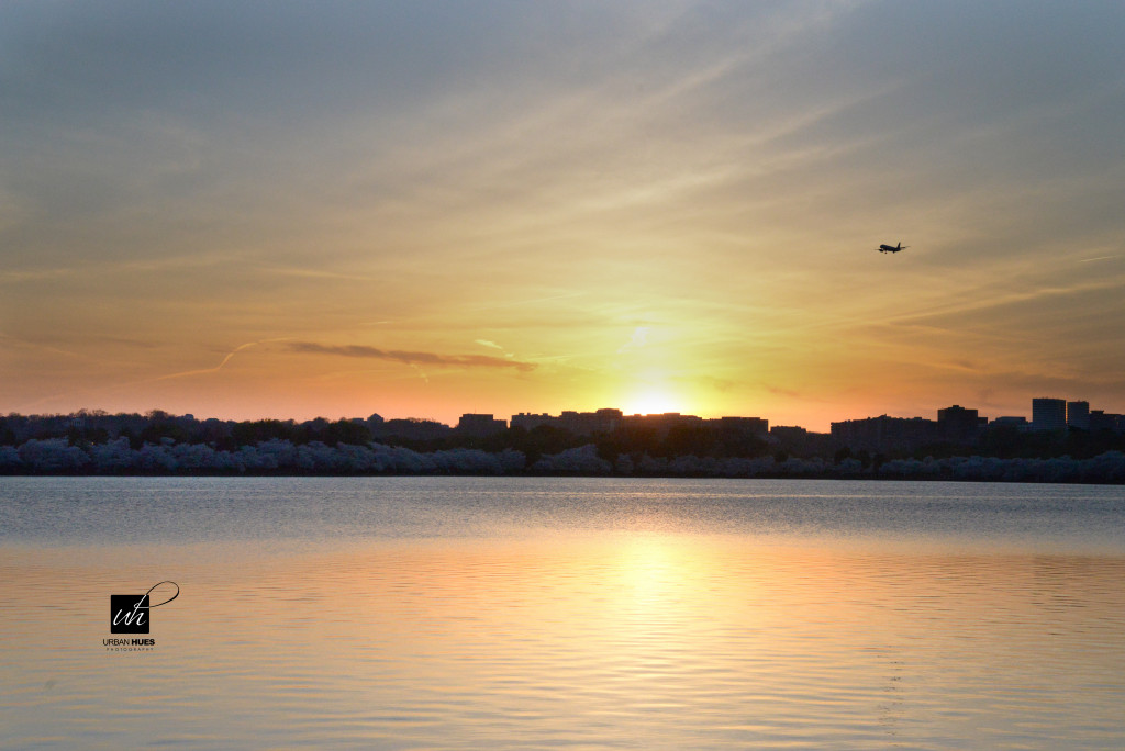 Cherry Blossom Sunrise-1-9