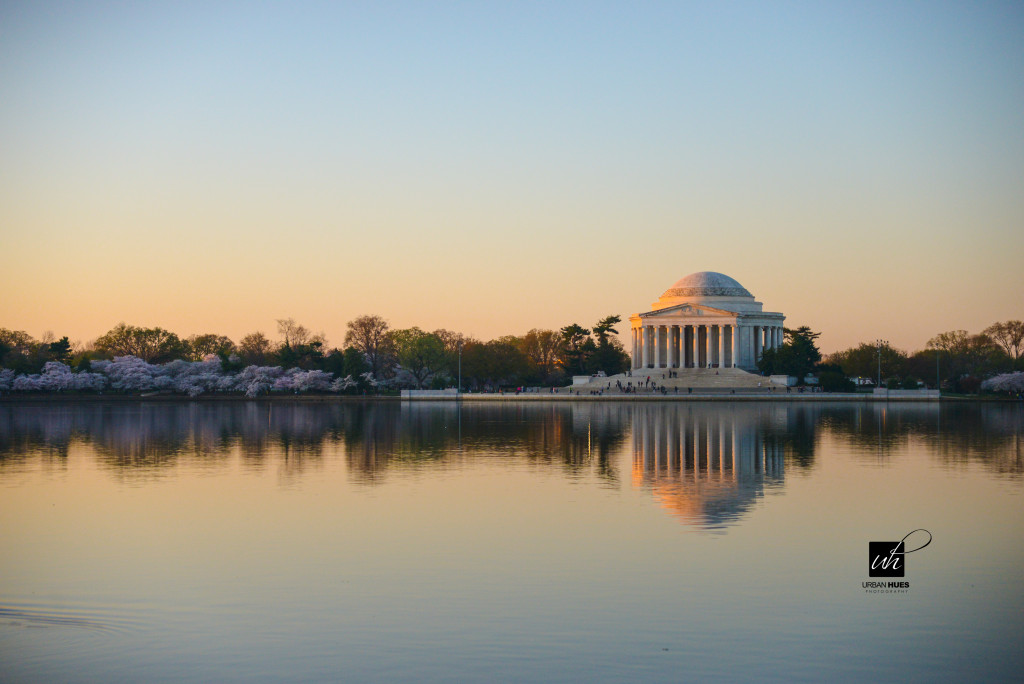 Cherry Blossom Sunrise-17