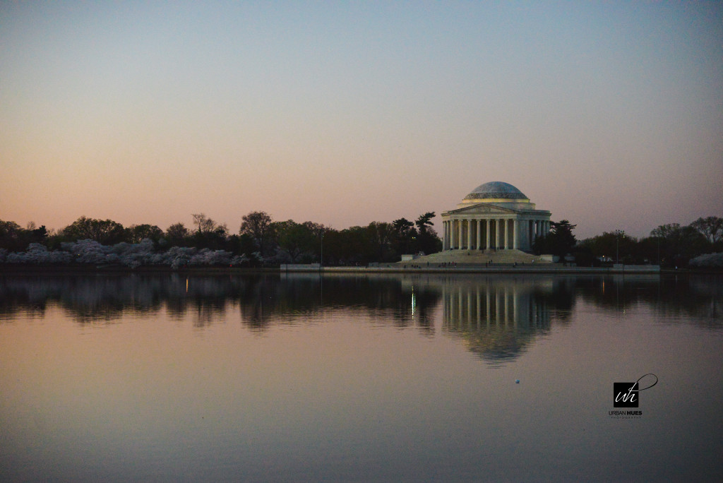 Cherry Blossom Sunrise-3