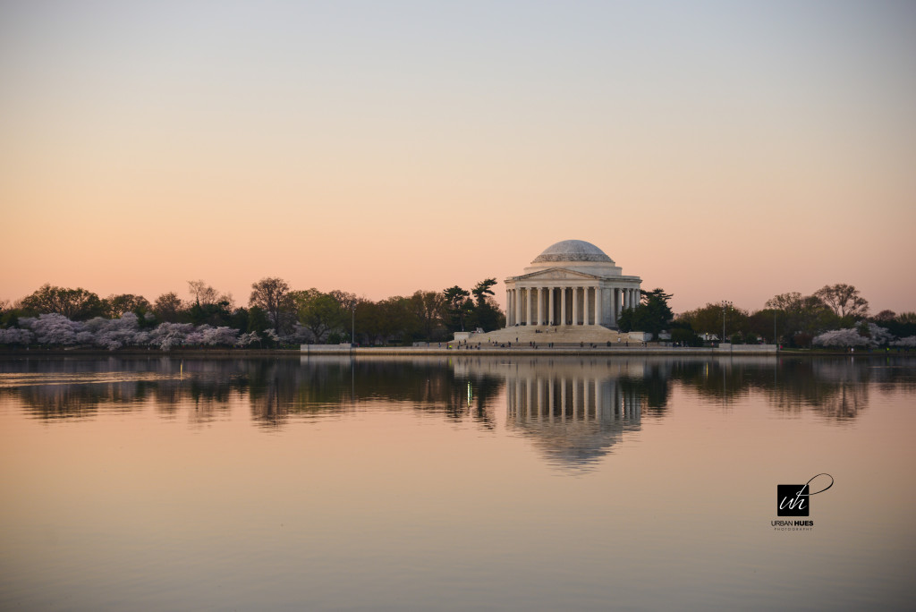 Cherry Blossom Sunrise-8